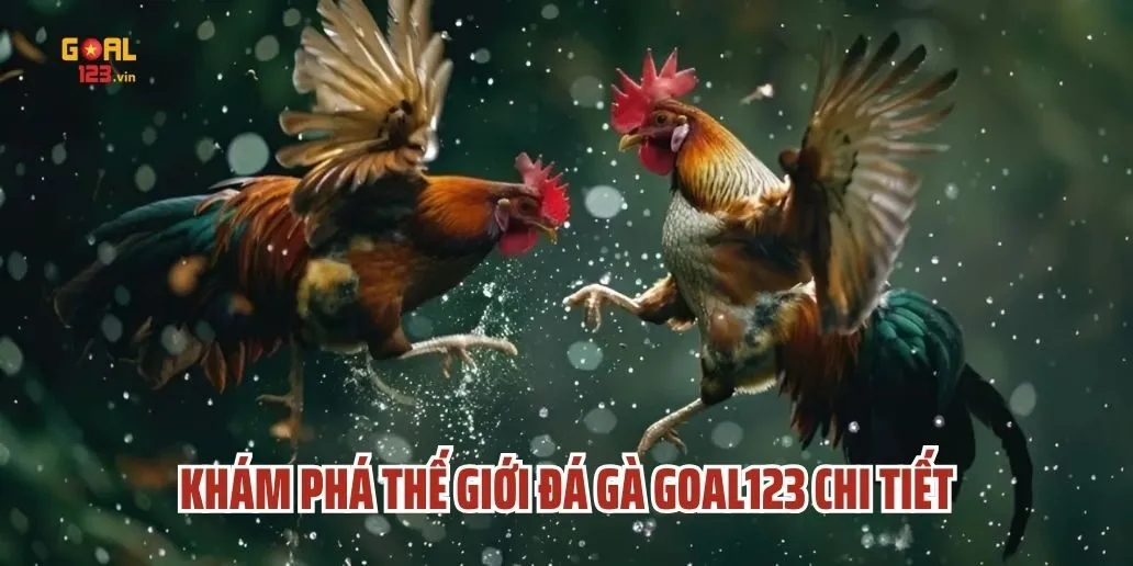 Khám Phá Thế Giới Đá Gà Goal123 Chi Tiết
